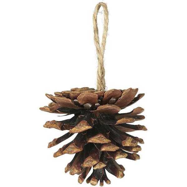 Tannenzapfen, Aufhänger, mit Juteschnur, IBL
