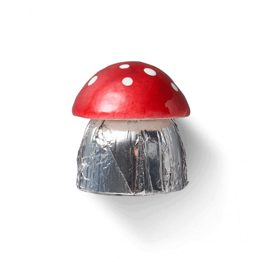Schokoladen Pilz "Viel Glück" - Vollmilchschokolade von Sawade
