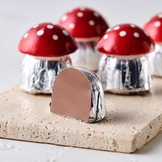 Schokoladen Pilz "Viel Glück" - Vollmilchschokolade von Sawade