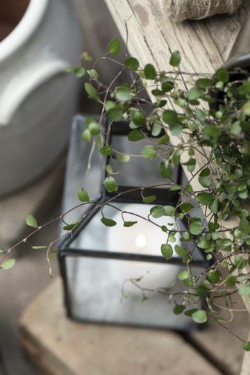 Laterne Norr, Windlicht, Glas, Metall, schwarz, klein