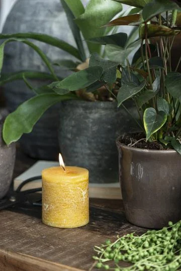 Stumpenkerze, Altarkerze, 7cm hoch, gelb, senfgelb, curryfarben - mueggelig