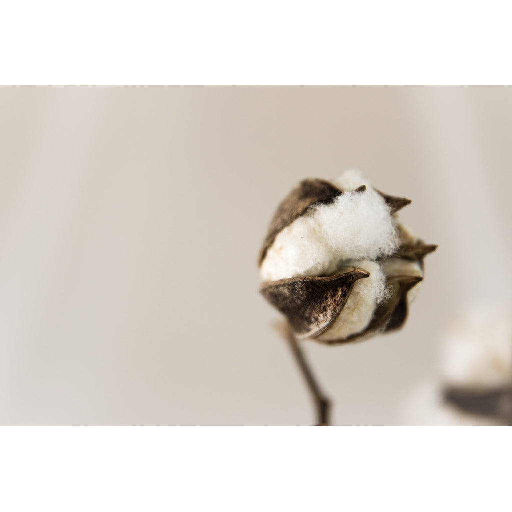 Decke Lyme grasse, 180 x 130cm, Farbe green