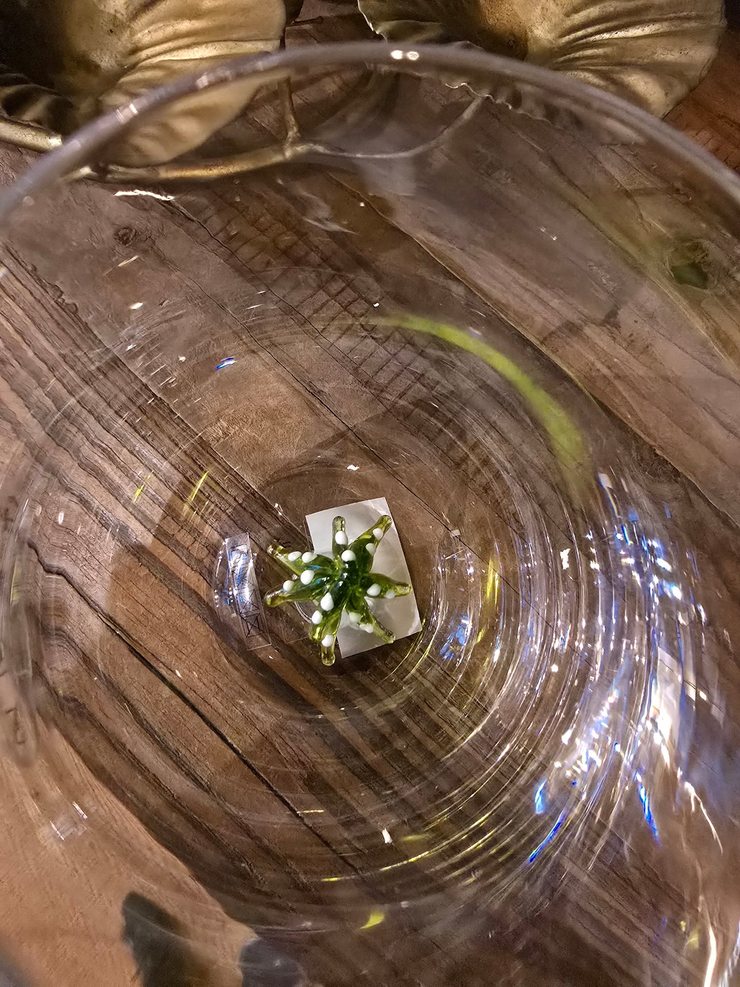 Trinkglas Misa, Glas mit 3D-Motiv, Tannenbaum