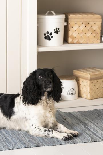 aufbewahrung für hundefutter Aufbewahrung für Hundefutter, Metall, Leckerlibox, Futtereimer, 5 Lite – müggelig