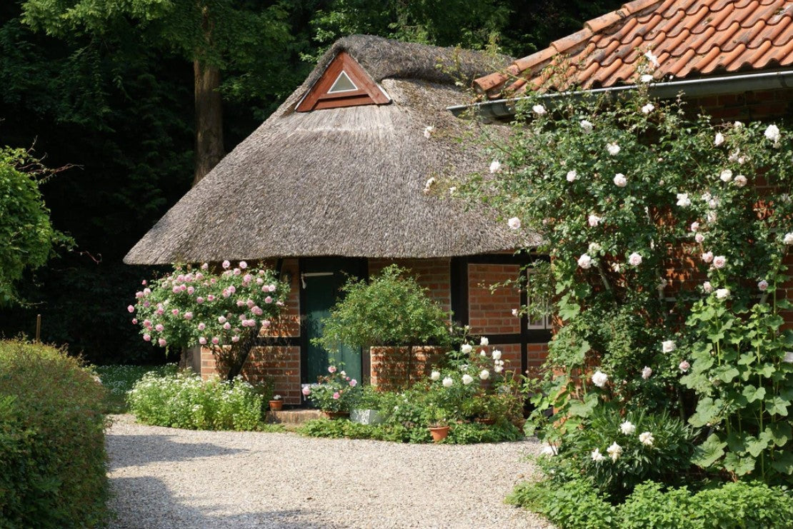 Erdbeer Fruchtaufstrich vom Gartenhaus Testorf